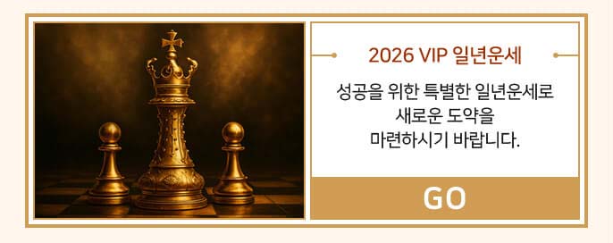 2026 VIP 일년운세