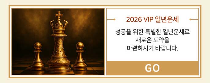 2026 VIP 일년운세