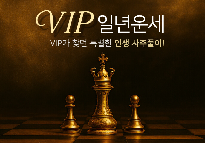 VIP 일년운세